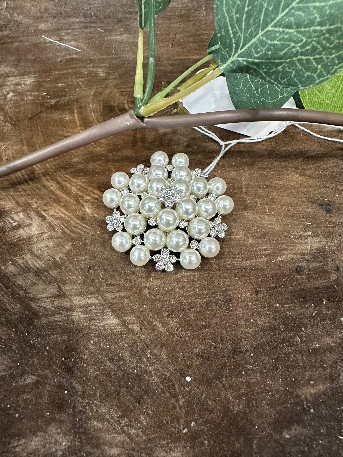 What Dreams Are Made of Brooch