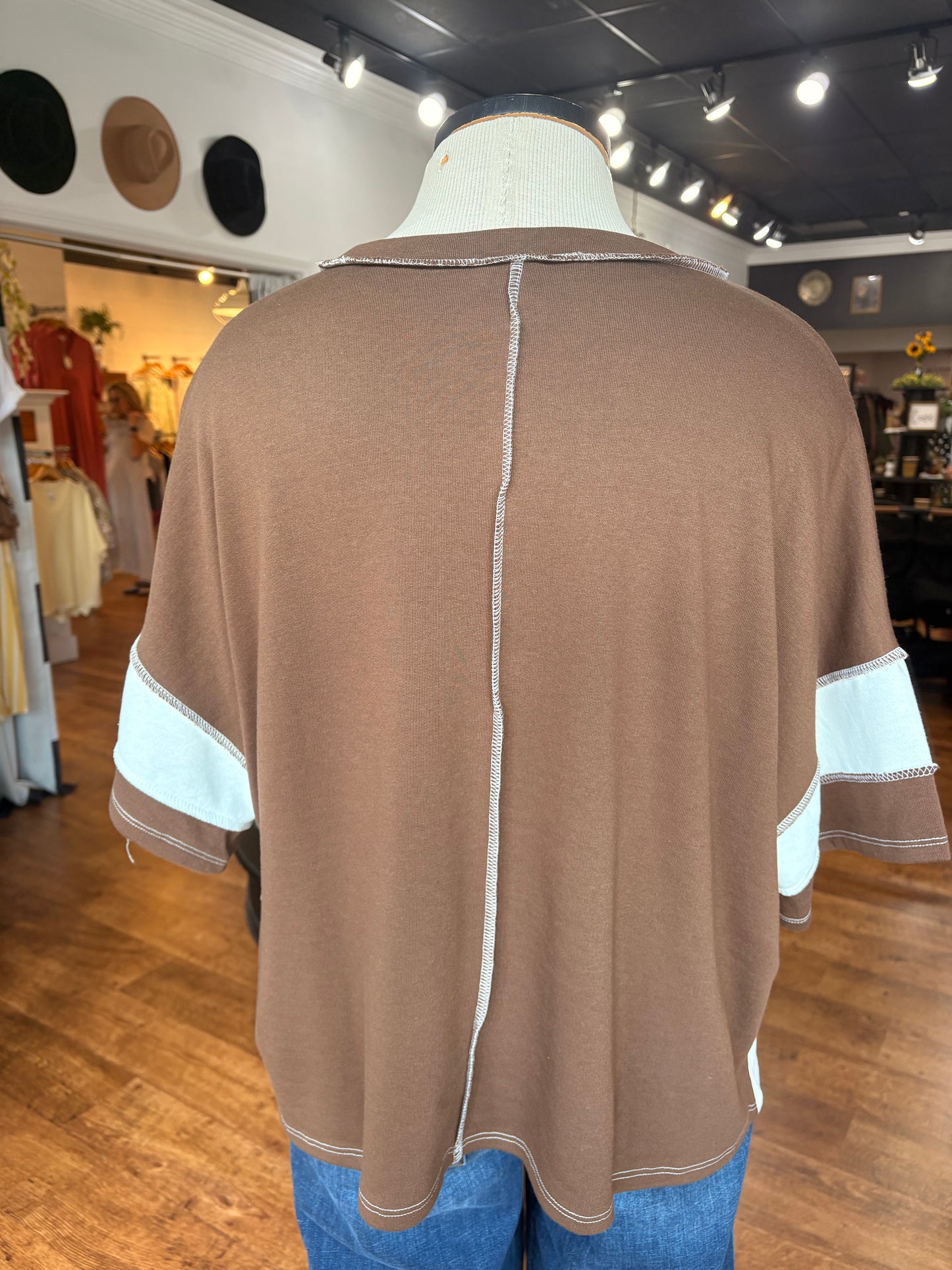 Sunday Stroll Striped Top ~ Brown