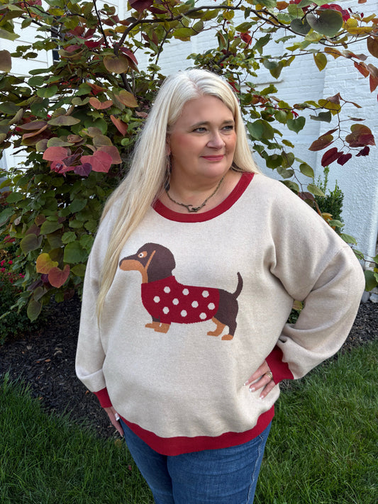 Top Dog Colorblock Dachshund Sweater