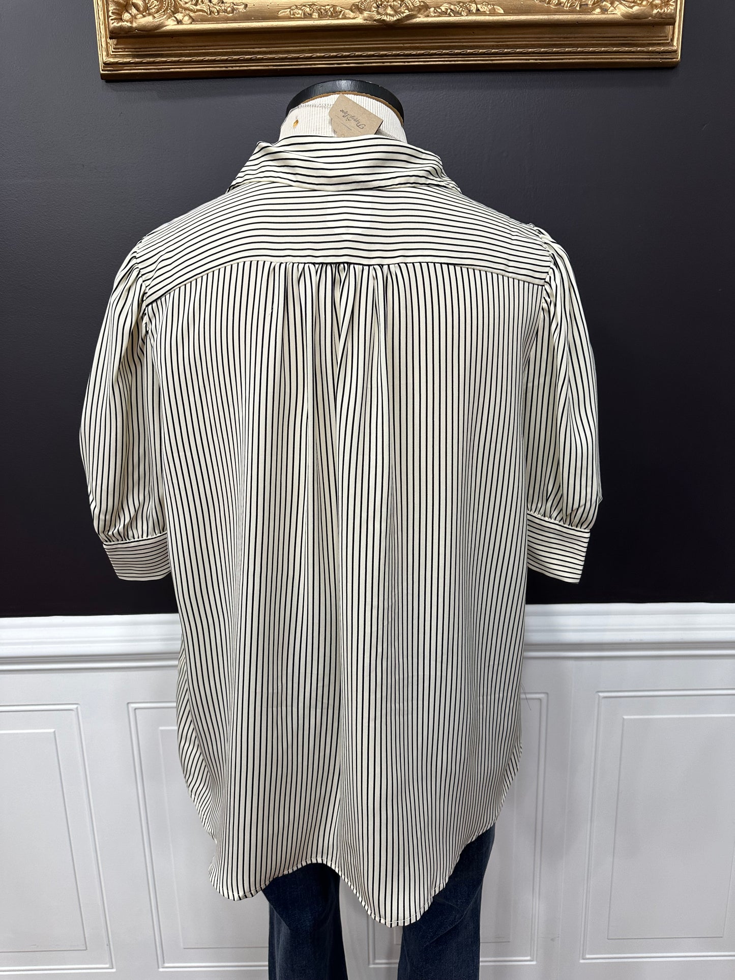 Class And Charm Striped Short Sleeve Button Down